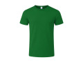 22022 - T-Shirt Adulte unisexe