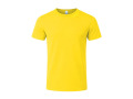 22022 - T-Shirt Adulte unisexe