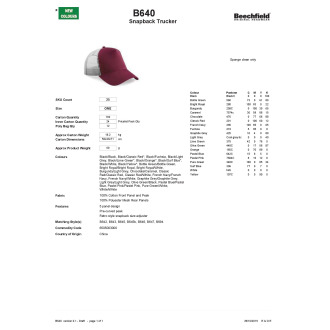 B640  Casquette américaine