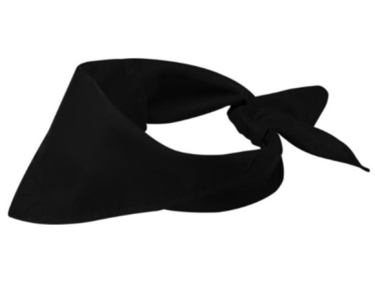 Bandana H&eacute;racl&egrave;s - PF38341900