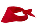 Bandana H&eacute;racl&egrave;s - PF38341900