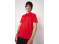 IB200 - Polo sport homme