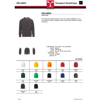 ORLANDO  Sweatshirt col rond design