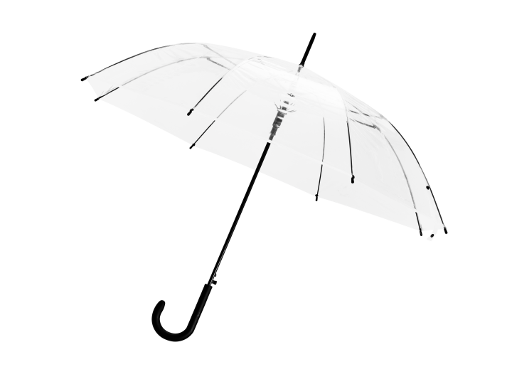 Parapluie vision  PARIS