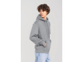 SC62294 - Sweat-shirt &agrave; capuche Iconic 250