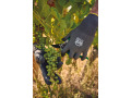 WKP709 - Gants tactiles de protection contre les coupures